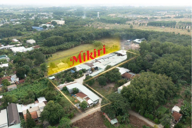 Xưởng sản xuất bánh tráng Mikiri