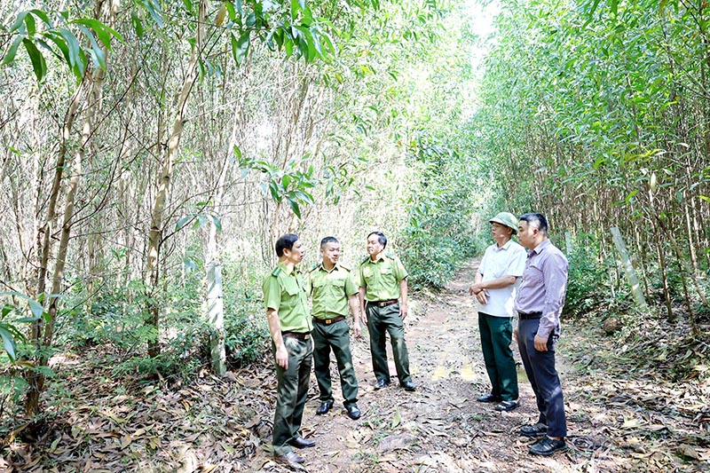 Lực lượng Kiểm lâm hướng dẫn các chủ rừng PCCCR hiệu quả trong mùa khô.