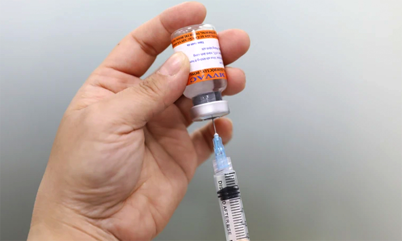 Vaccine phòng bệnh sởi.