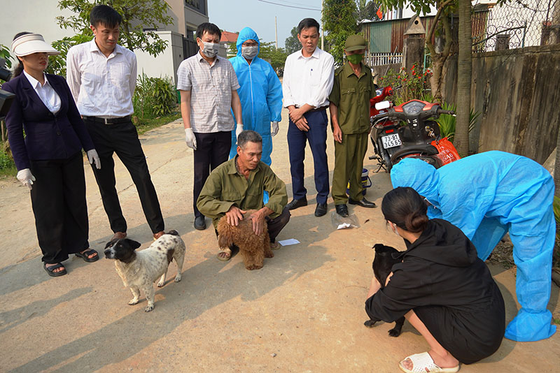 Kiểm tra và hướng dẫn cách tiêm phòng dại cho cho, mèo ở xã Lộc Ninh. 
