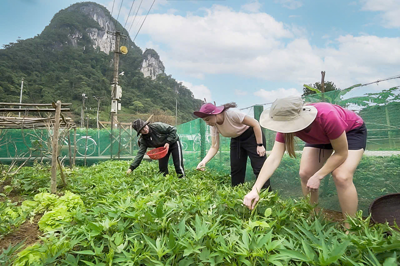 Khách du lịch nước ngoài trải nghiệm cuộc sống của người dân xã Tân Hóa (ảnh Oxalis).