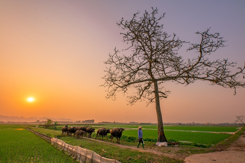 Bất chợt tháng tư