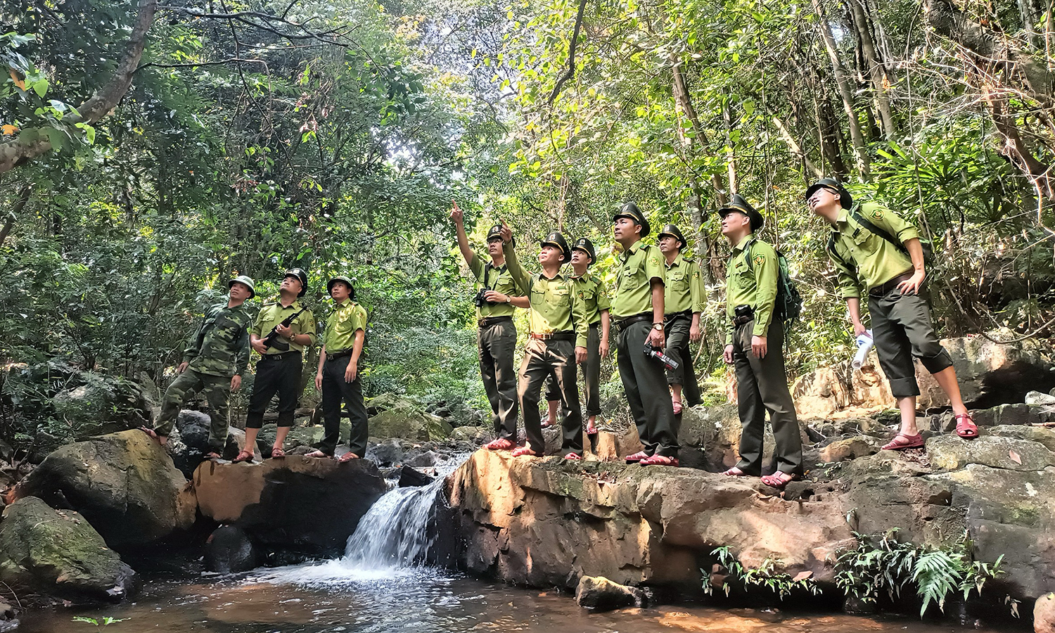 Thành lập Trung tâm Bảo vệ rừng và Di sản thế giới