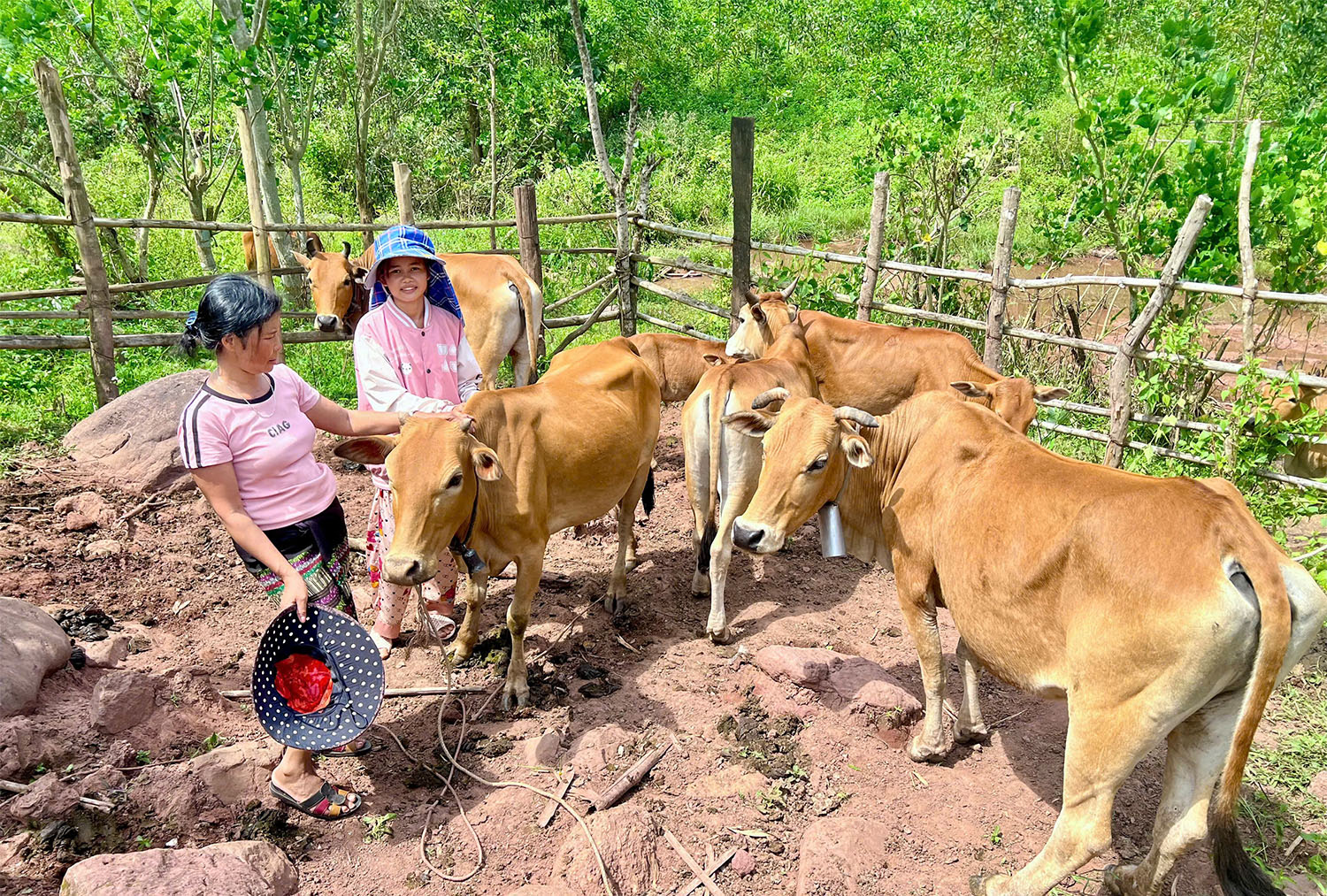 Hơn 20 tỷ đồng cho vay vùng đồng bào dân tộc thiểu số