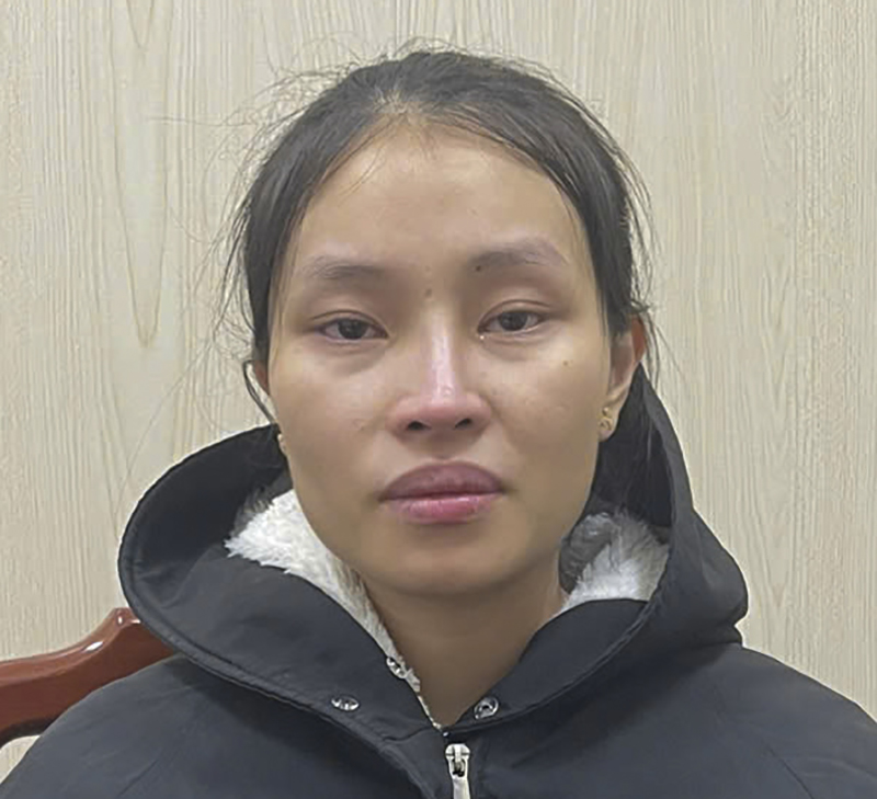 Bắt giữ nghi phạm trộm cắp tài sản