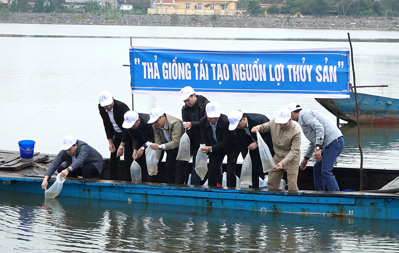 Các đại biểu thả cá, tôm giống xuống sông Gianh.