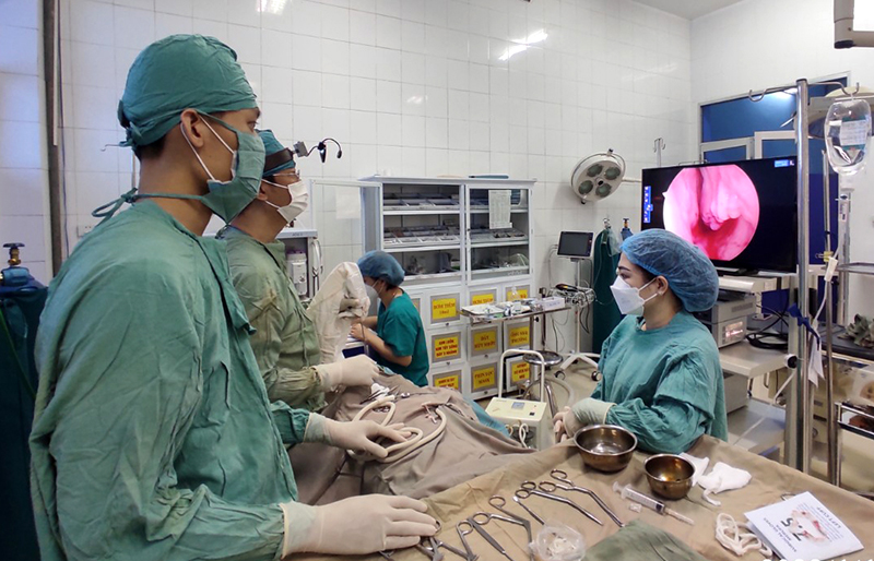 TP. Đồng Hới thực hiện đồng bộ các giải pháp nâng cao chất lượng khám, chữa bệnh và chăm sóc sức khỏe nhân dân.