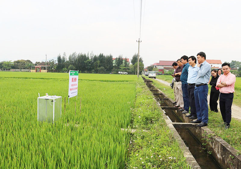Các đại biểu tham quan mô hình tại xã Xuân Ninh, huyện Quảng Ninh