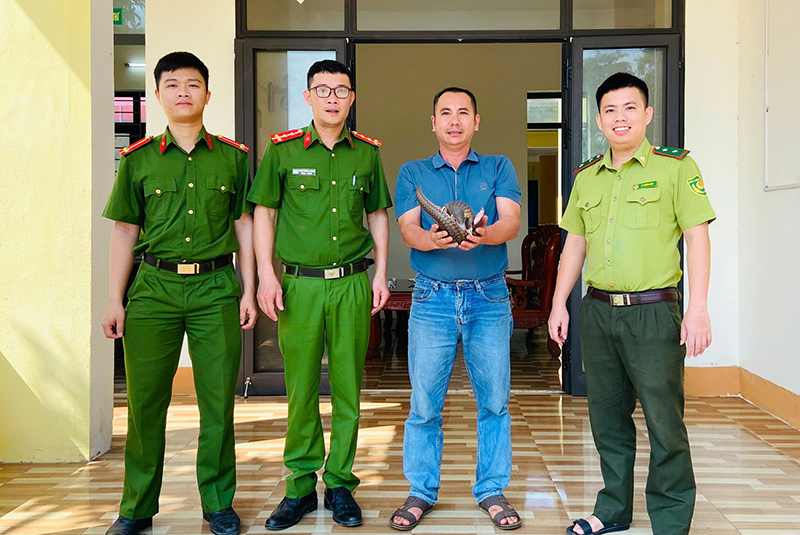 Cá thể tê tê vừa được Công an xã Thanh Hóa và người dân bàn giao lại cho Hạt Kiên lâm Tuyên Hóa.