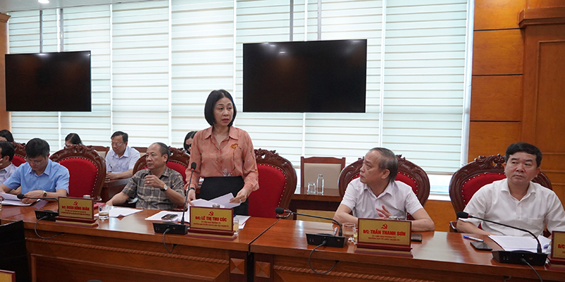 Các đại biểu thảo luận.