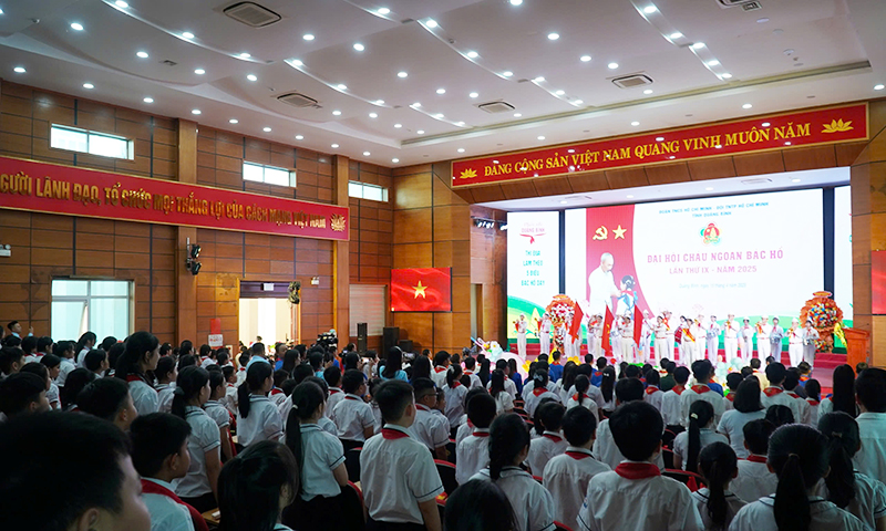 Đại hội là ngày hội lớn, quy tụ 84 đại biểu xuất sắc đại diện cho hơn 158.000 đội viên, thiếu nhi toàn tỉnh.