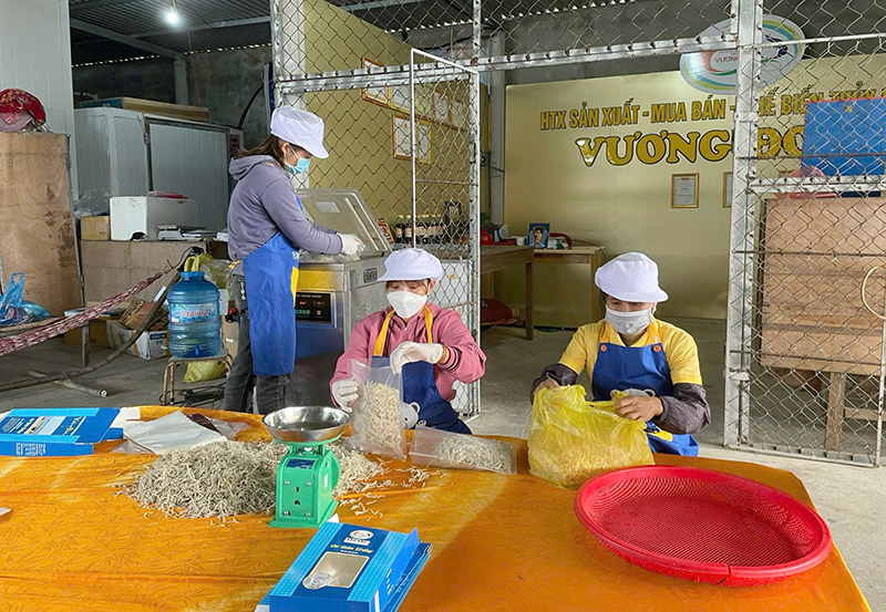 nguồn vốn tín dụng góp phần tạo việc làm cho nhiều hộ nghèo và đối tượng chính sách khác.