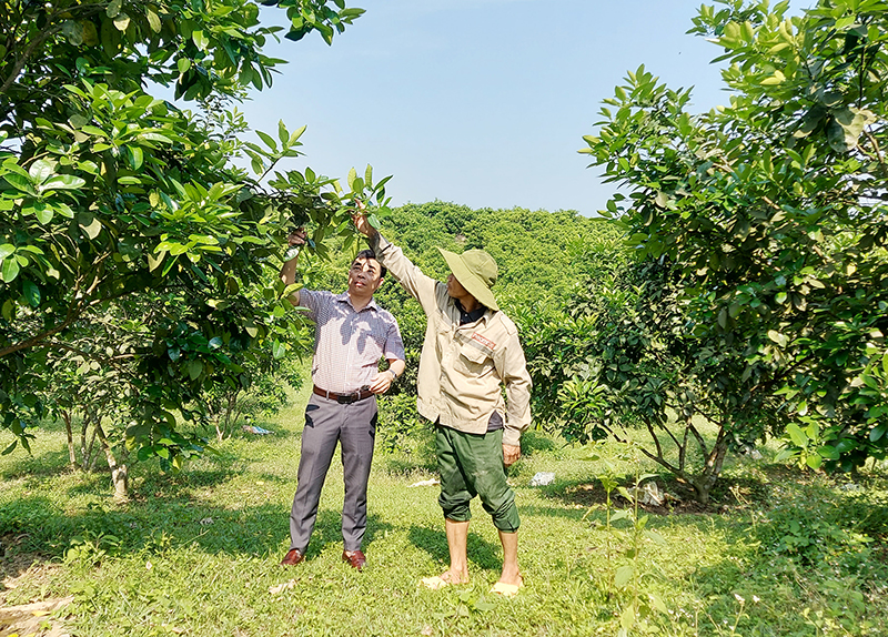 Anh Đinh Hồng Sơn (bên phải) vận dụng hiệu quả vốn vay ưu đãi để phát triển kinh tế.