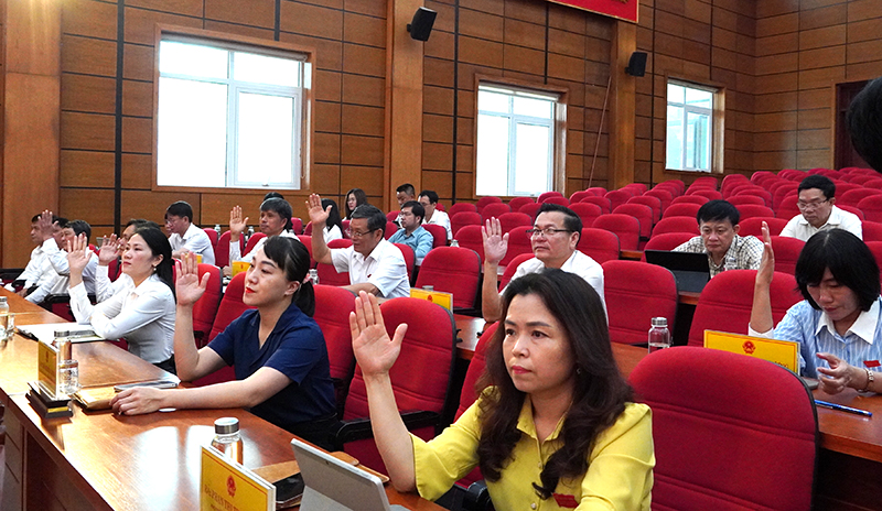 Các đại biểu biểu quyết thông qua các dự thảo nghị quyết.
