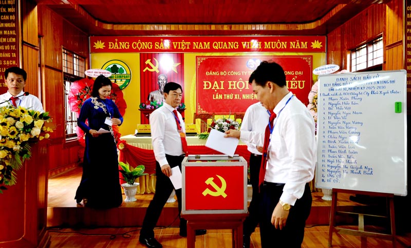 Bỏ phiếu bầu Ban chấp hành Đảng bộ Công ty TNHH MTV LCN Long Đại lần thứ XI, nhiệm kỳ 2025-2030.
