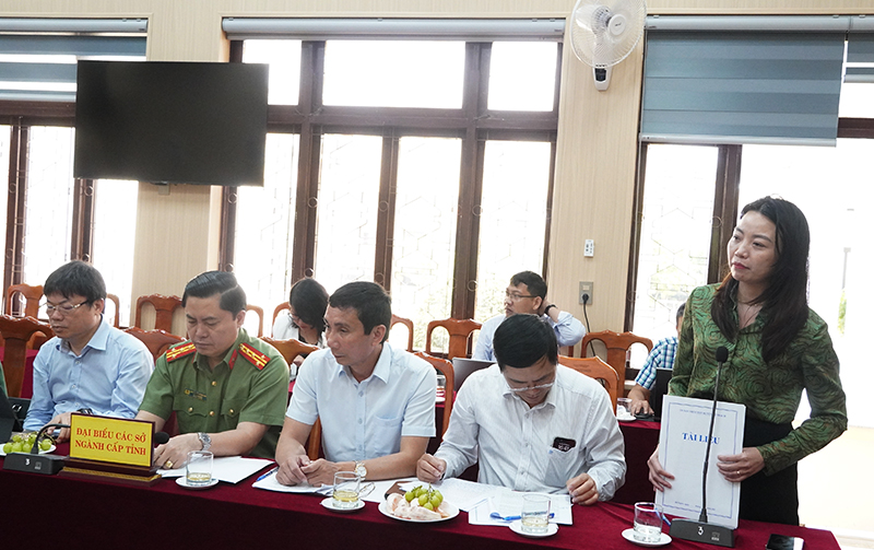 Đại diện lãnh đạo Sở Văn hóa, Thể thao và Du lịch phát biểu ý kiến tại hội nghị.