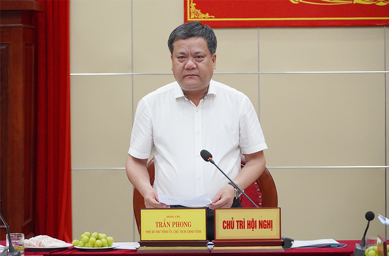 Đồng chí Phó Bí thư Tỉnh ủy, Chủ tịch UBND tỉnh Trần Phong phát biểu kết luận buổi làm việc.