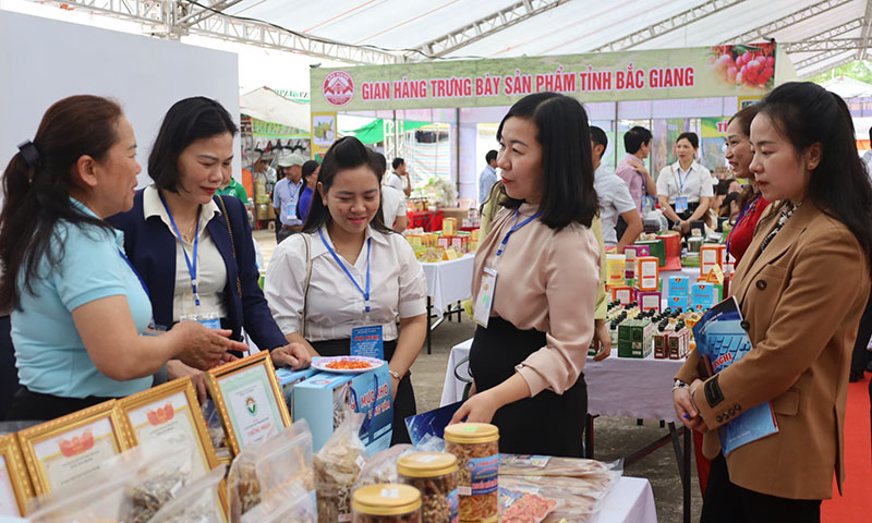 Đại biểu tham quan các gian hàng trưng bày sản phẩm.