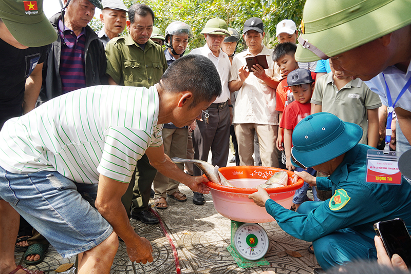 Thi cá to, cá đẹp.