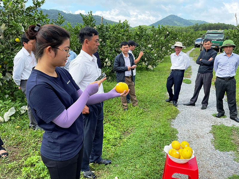 Hỗ trợ 1,3 tỷ đồng thực hiện chuyển đổi số ngành Nông nghiệp và Môi trường