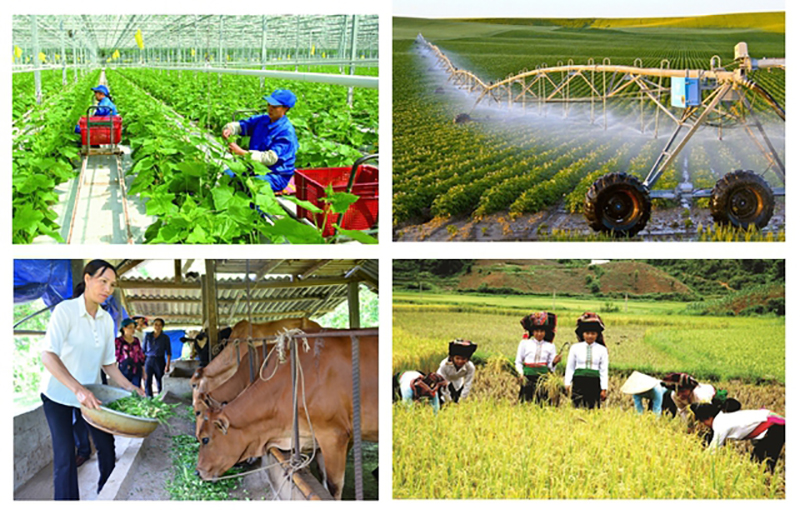 Từ 1/7: Tổng điều tra nông thôn, nông nghiệp năm 2025