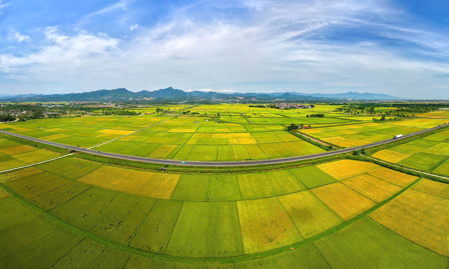 Đi giữa mênh mông đồng lúa