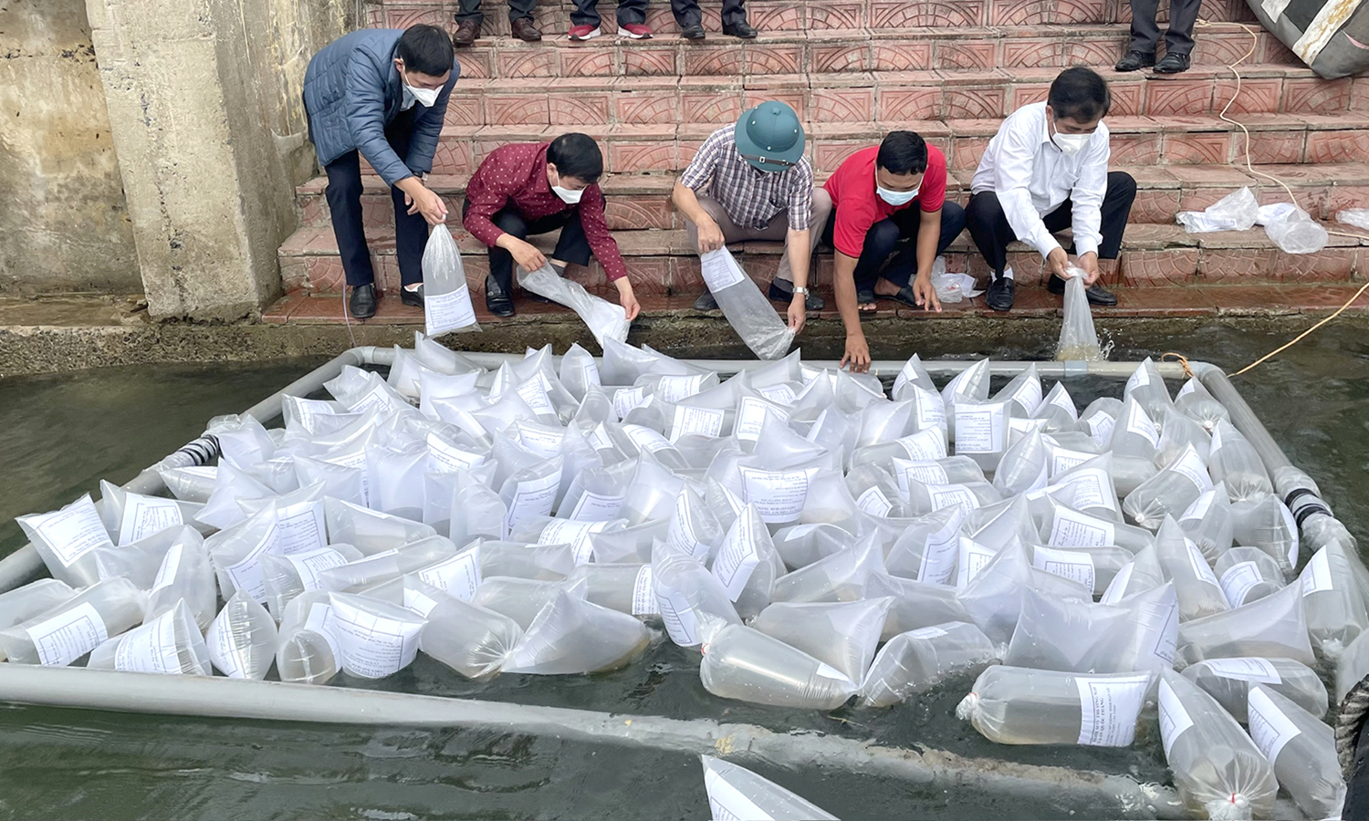 Bảo vệ, tái tạo nguồn lợi thủy sản để phát triển bền vững
