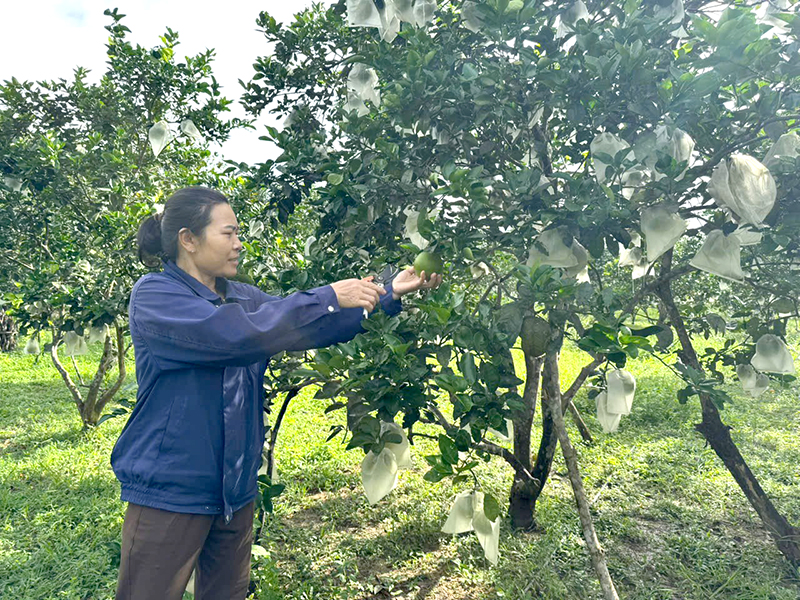 Lan tỏa tinh thần "làm theo" Bác