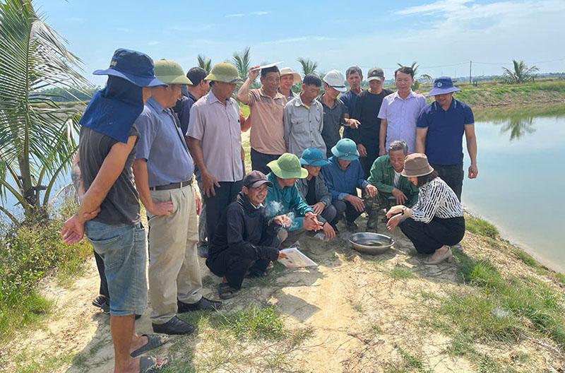 Chuyển giao kỹ thuật trồng trọt, chăn nuôi cho nông dân