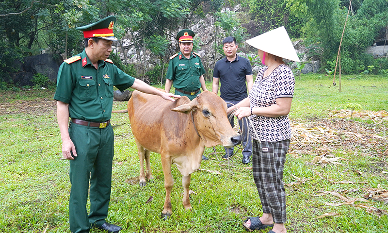 Mô hình thiết thực động viên thanh niên lên đường nhập ngũ