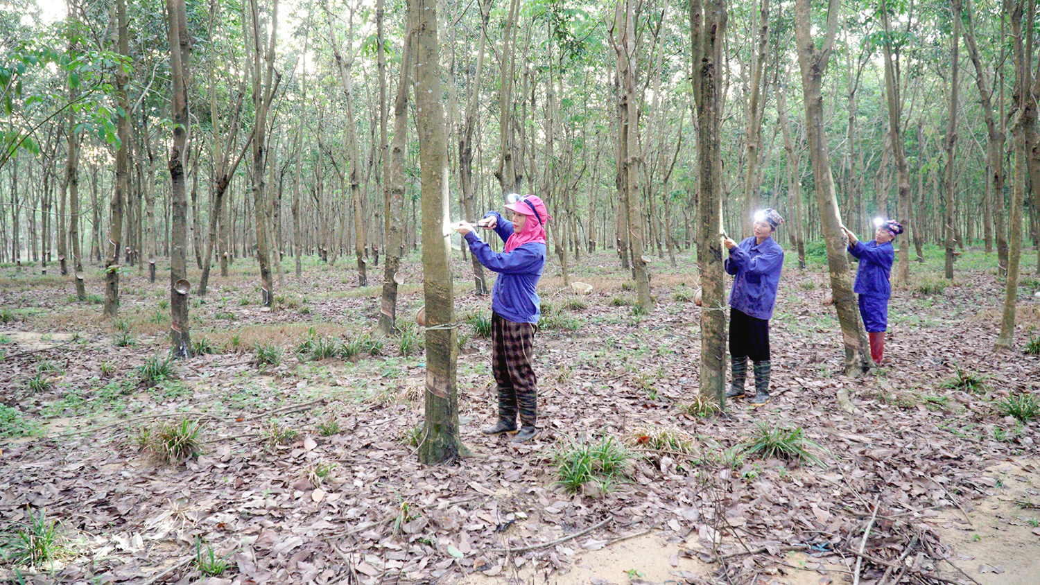 Vững niềm tin, chung khát vọng