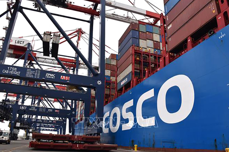  Tàu hàng của hãng vận tải Cosco (Trung Quốc) neo tại cảng Long Beach ở California, Mỹ. Ảnh: THX/TTXVN