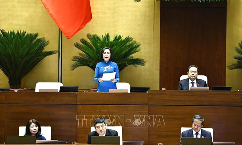  Phó Chủ tịch Quốc hội Nguyễn Thị Thanh điều hành phiên họp. Ảnh: Doãn Tấn/TTXVN