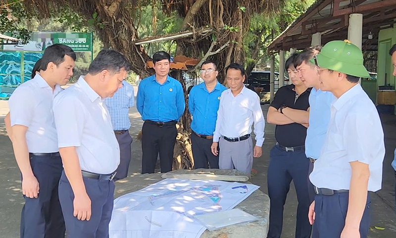 Đồng chí Chủ tịch UBND tỉnh Trần Phong kiểm tra khu vực dự kiến xây dựng Khu neo đậu cho tàu cá ở xã Quảng Đông.