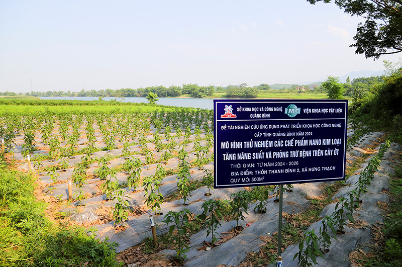 xây dựng mô hình canh tác quy mô 500m2 cho cây ngô và ớt
