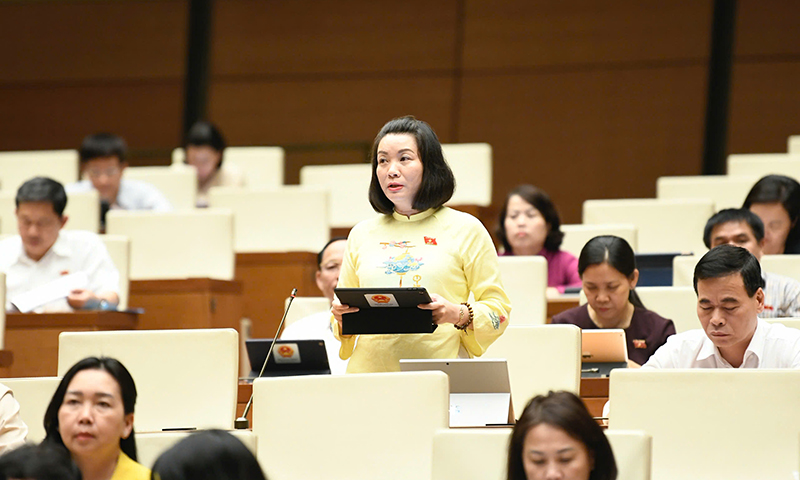 Đồng chí Phó trưởng đoàn chuyên trách phụ trách Đoàn đại biểu Quốc hội tỉnh Nguyễn Minh Tâm tham gia thảo luận.