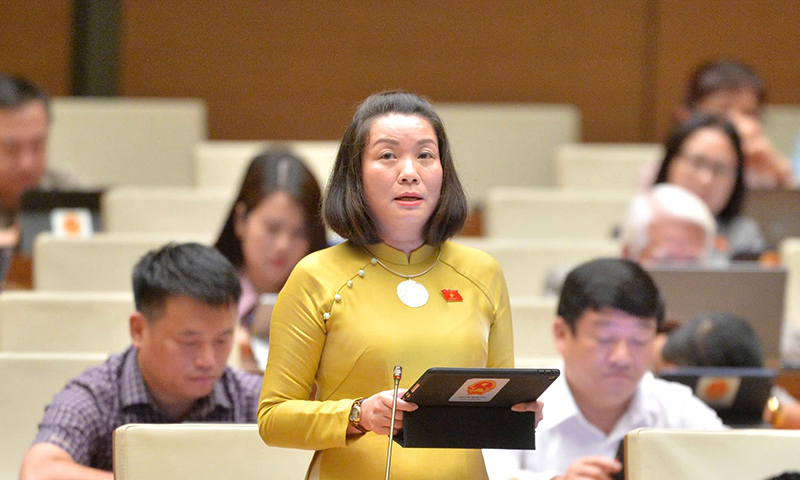 Đồng chí Nguyễn Minh Tâm, Tỉnh ủy viên, Phó trưởng đoàn chuyên trách phụ trách Đoàn đại biểu Quốc hội tỉnh tham gia thảo luận.