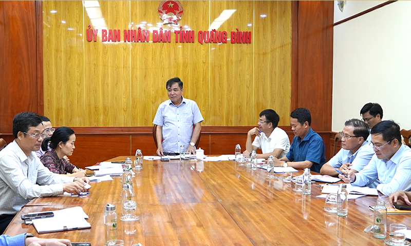 Đồng chí Phó Chủ tịch Thường trực UBND tỉnh Đoàn Ngọc Lâm phát biểu kết luận tại buổi làm việc.