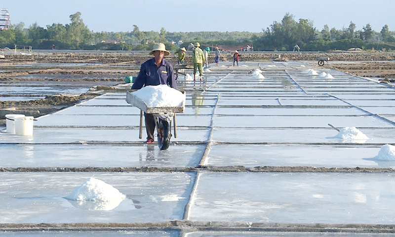 Diêm dân Quảng Phú vào vụ sản xuất muối chính năm 2025.