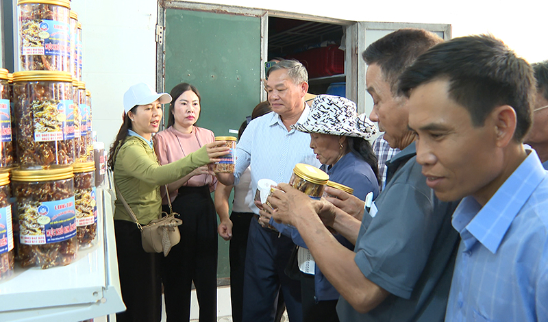 Các đại biểu và học viên tham quan các mô hình sản xuất, phát triển kinh tế tại xã Bảo Ninh.