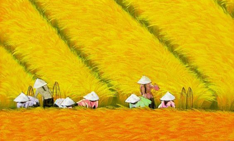Mùa hạ trên quê