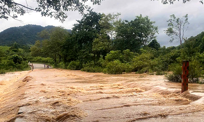 Hơn 7.400ha lúa và hoa màu bị ngập do mưa lớn