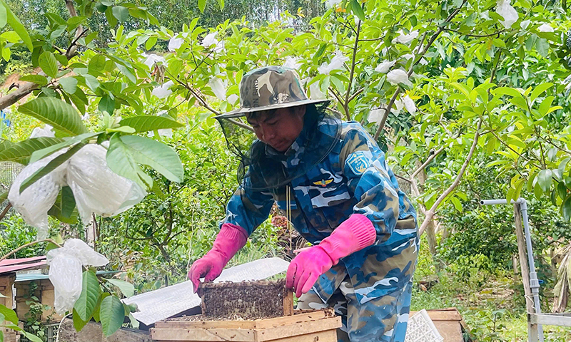 Mùa mật ngọt ở vùng cao