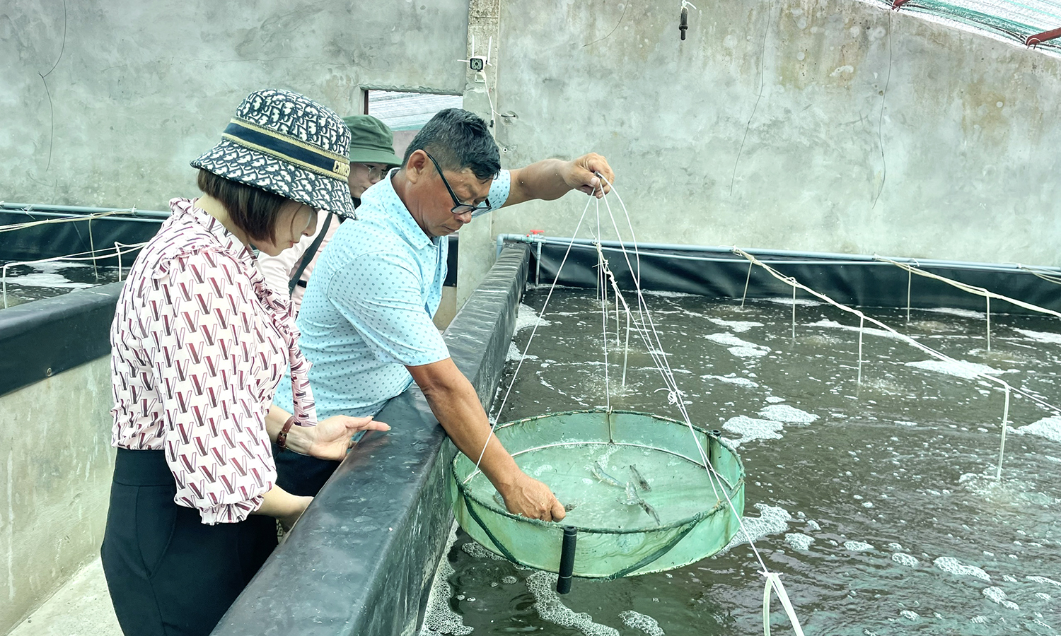 Chủ động phòng, chống dịch bệnh cho tôm nuôi