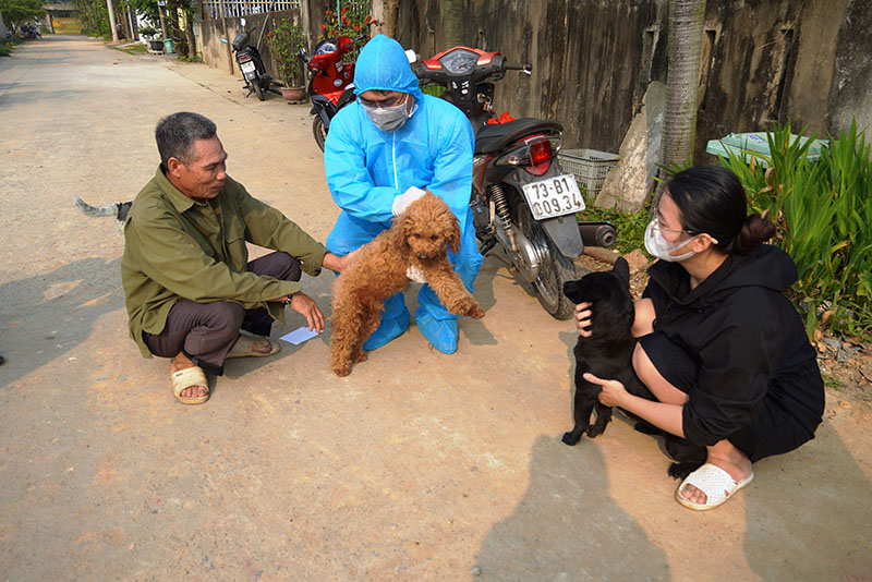 Hoàn thành tiêm phòng vắc-xin đợt 1 cho đàn vật nuôi