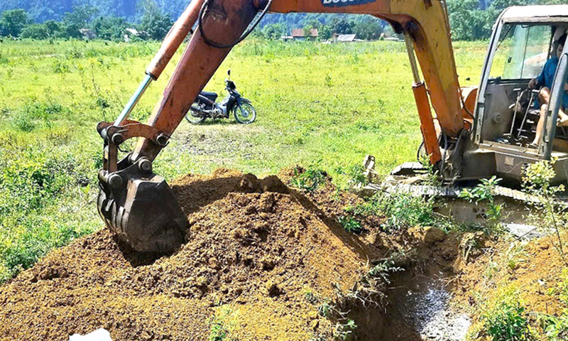 Dịch tả lợn châu Phi đang được kiểm soát tốt