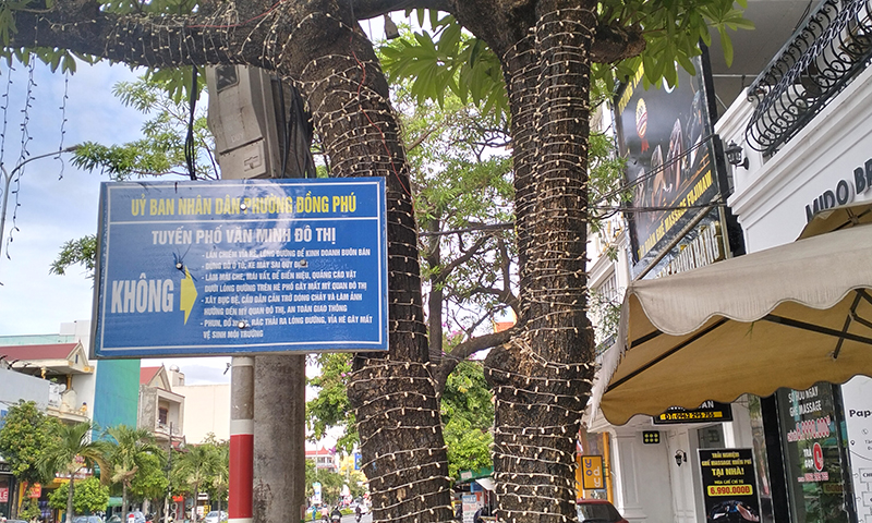 Xin đừng "bức tử" cây xanh