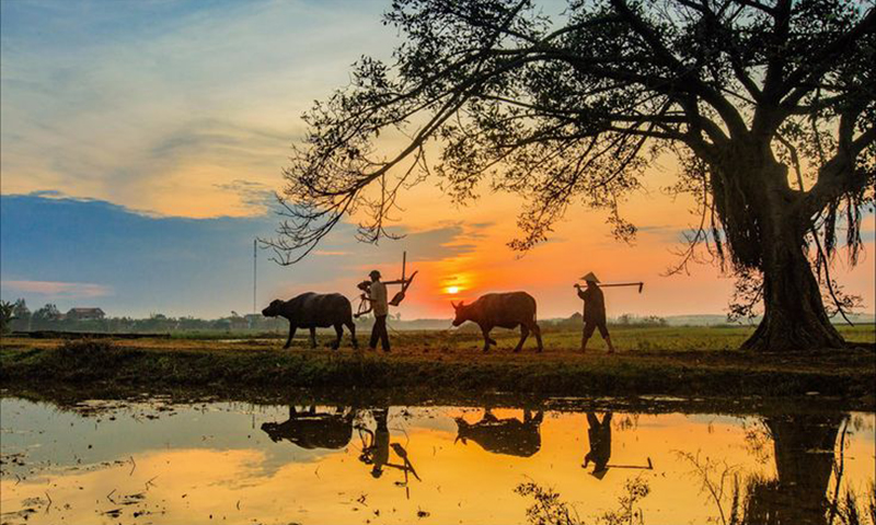 Quảng Bình quê ta