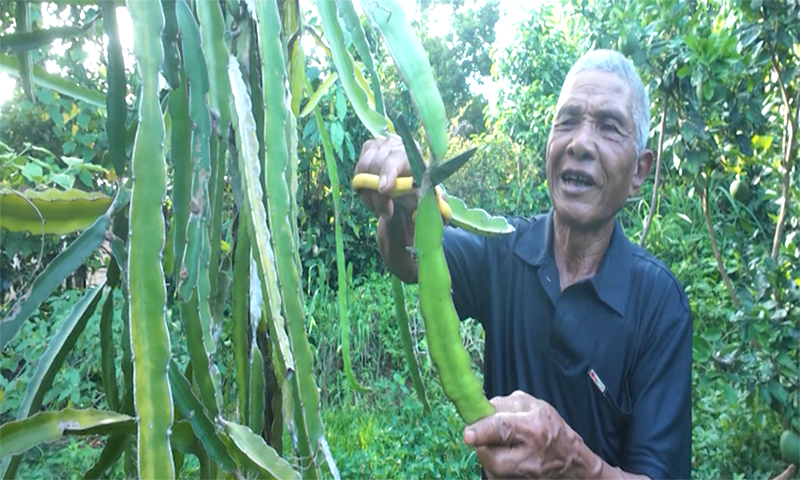 Gương sáng giữa đại ngàn