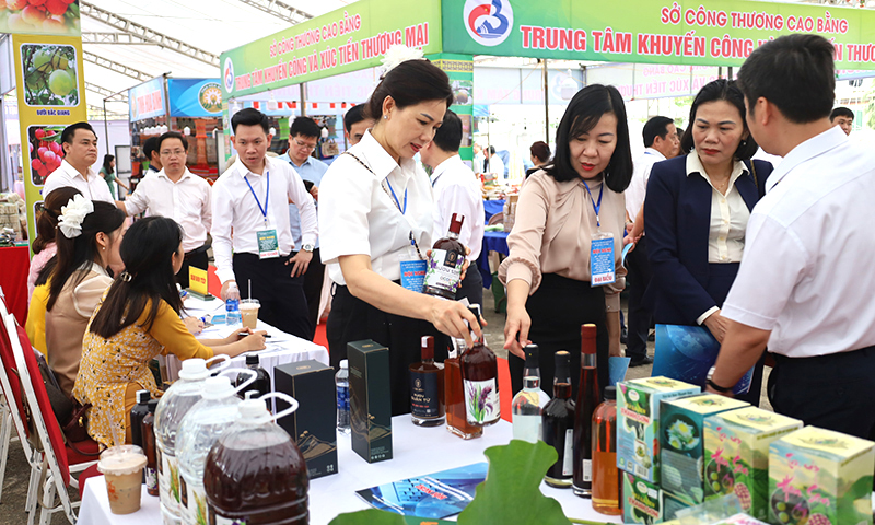 Khẳng định vai trò "đầu tàu"cho phát triển kinh tế của địa phương